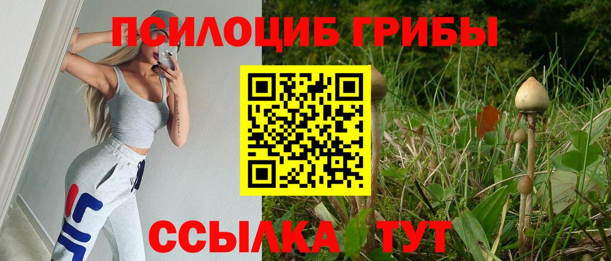Галлюциногенные грибы GOLDEN TEACHER  Галлюциногенные грибы прущие грибы  Вход с VPN  Железногорск 
